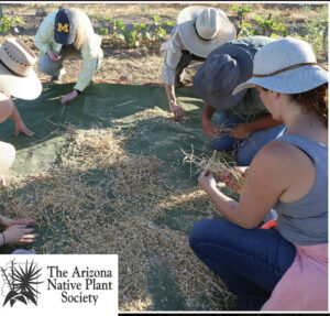 AZ Native Plant Society